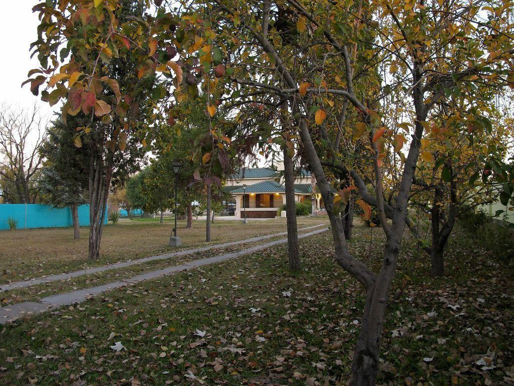 Villa Los Sauces Чакрас-де-Корія Екстер'єр фото